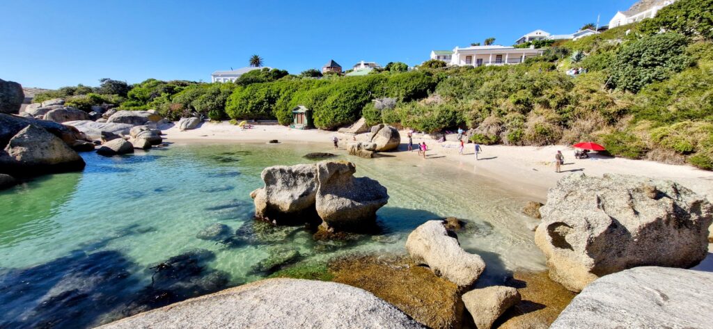 Cape Peninsula Private Tour