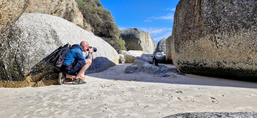 Private Cape Peninsula Adventure Tour