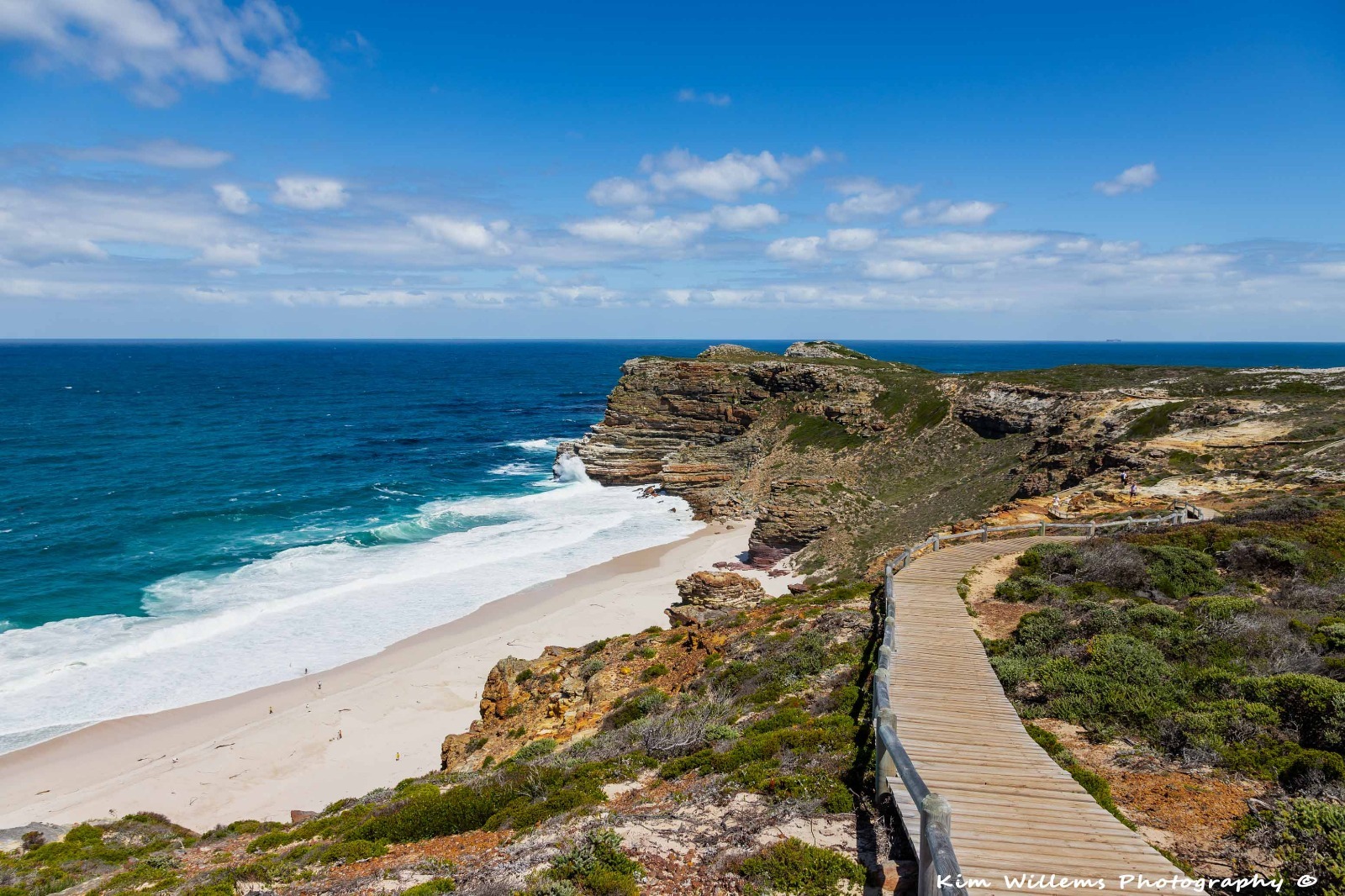 Private cape peninsula tour