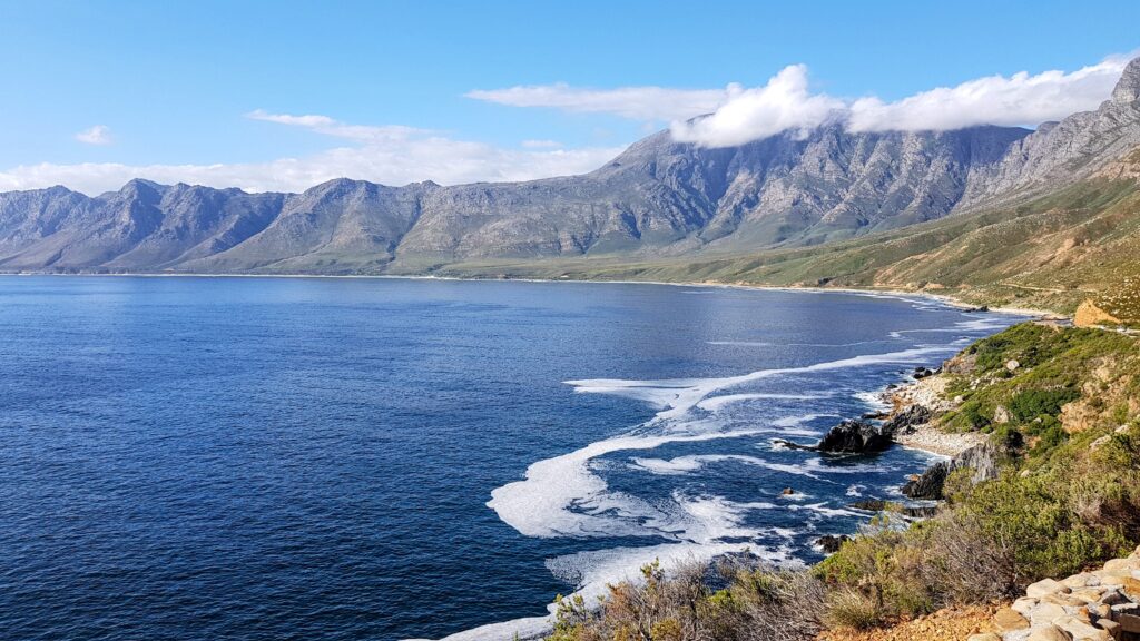 2 day private whale watching cruise