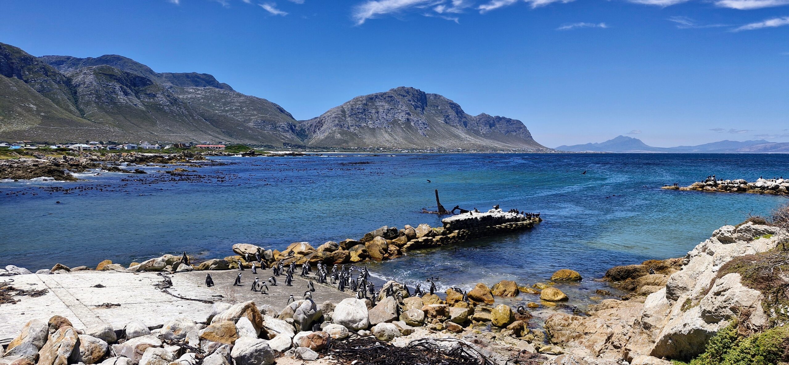 Explore Hermanus Day Tour