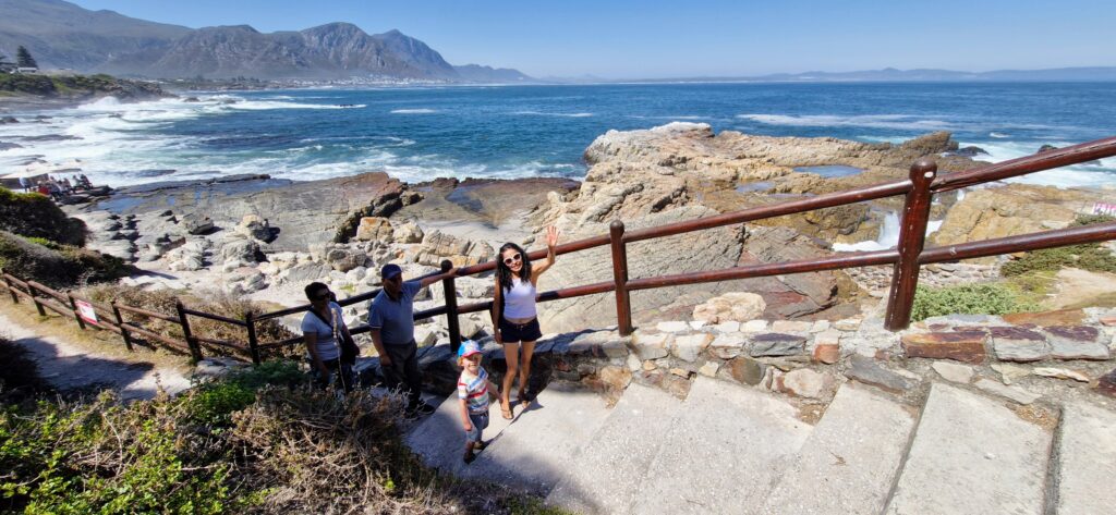 Explore Hermanus Day Tour