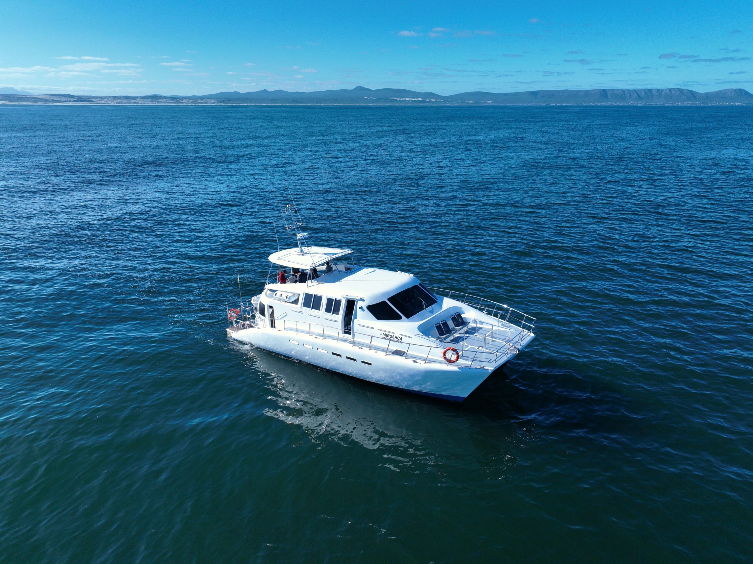 Hermanus Whale Watching Tour