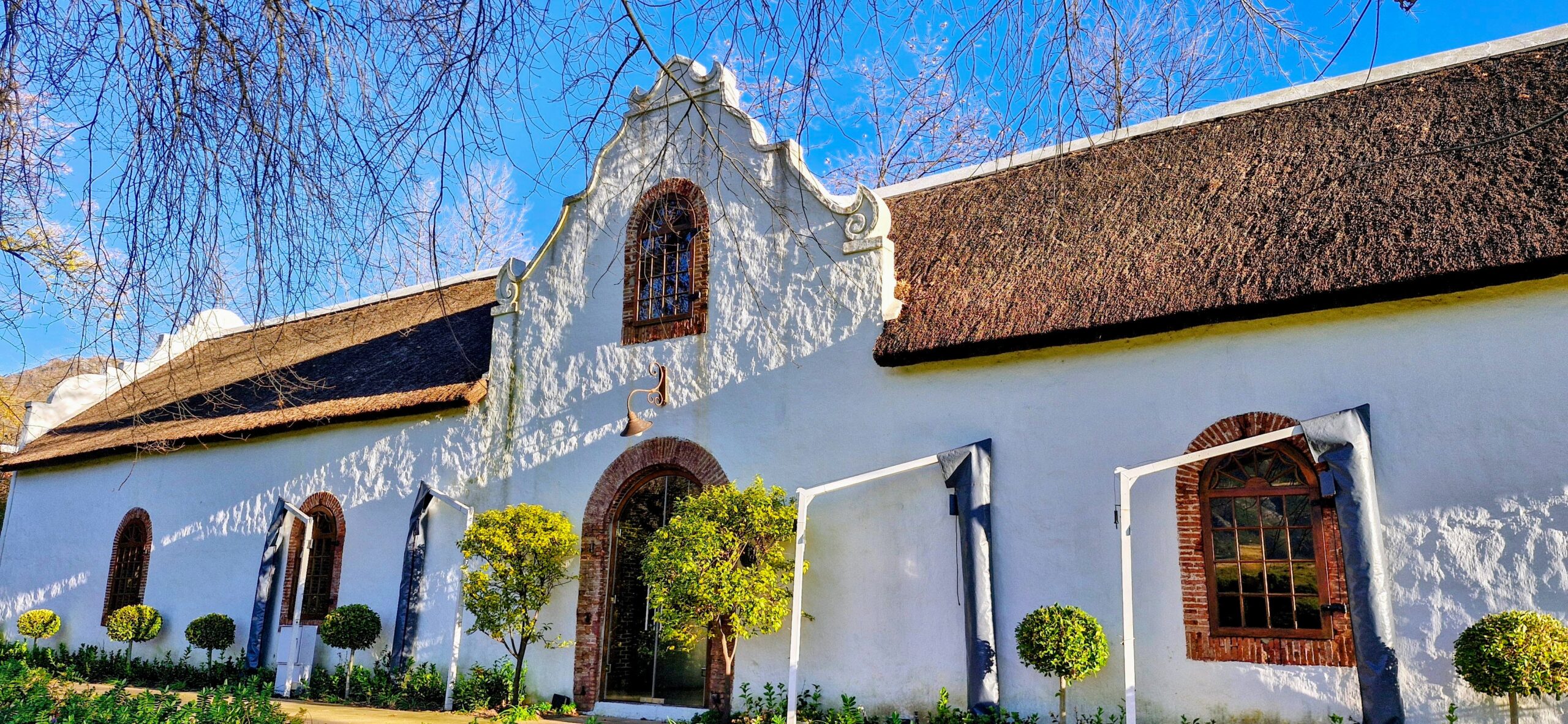 private wine tour from cape town