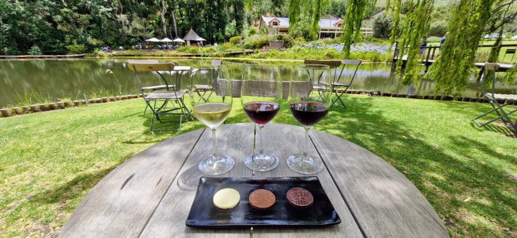 private wine tour from cape town