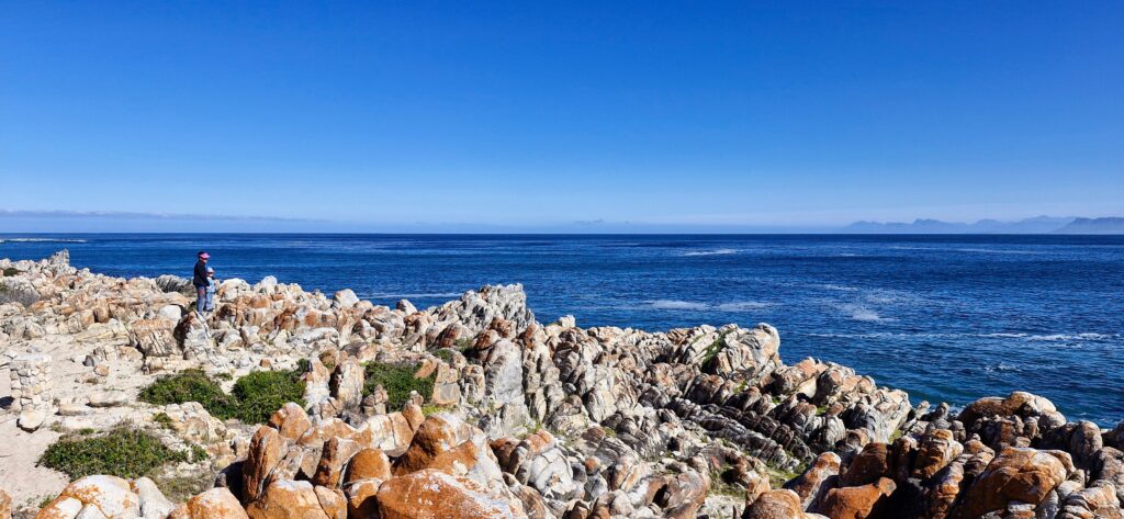 private whale coast tour