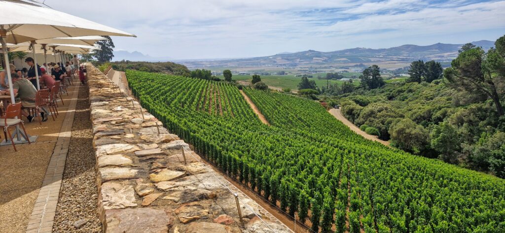 private stellenbosch wine tour