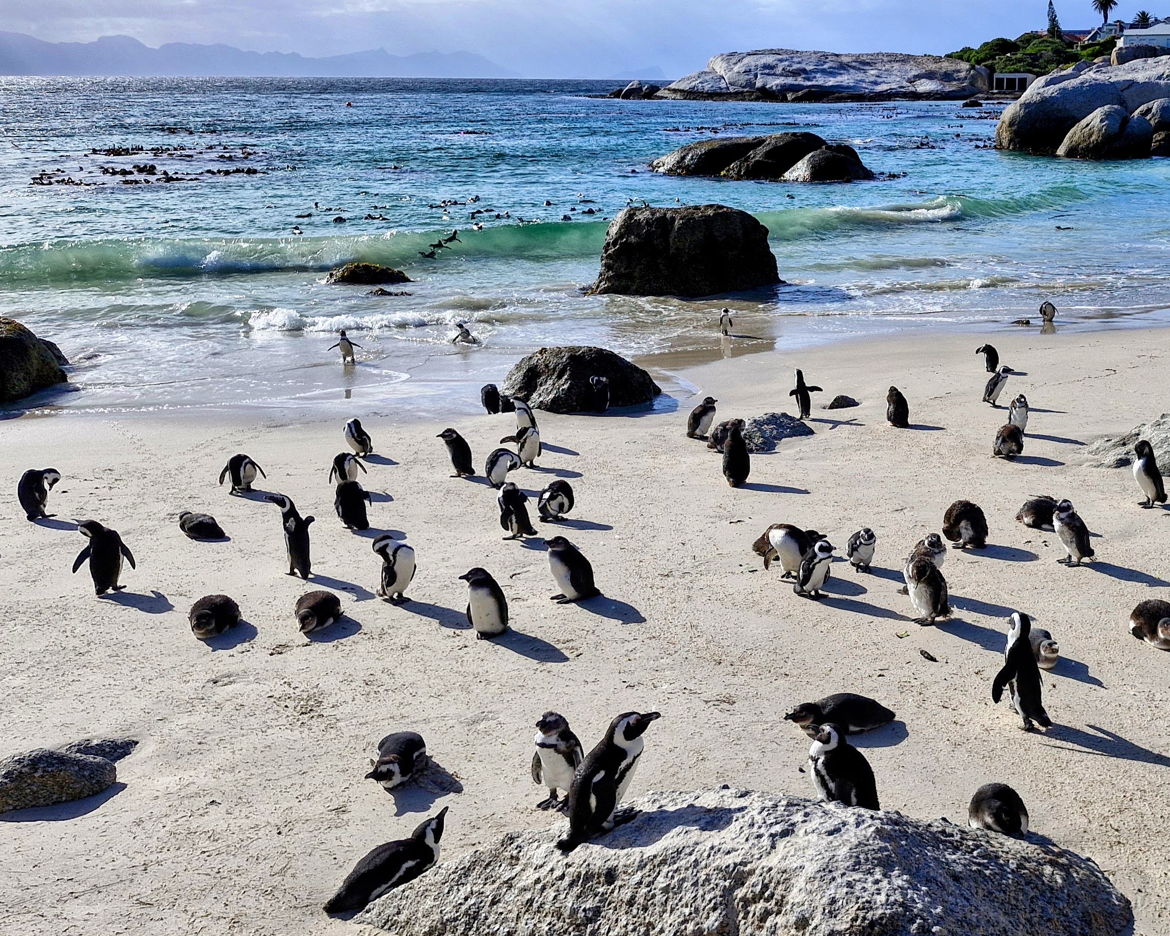 Boulders Beach